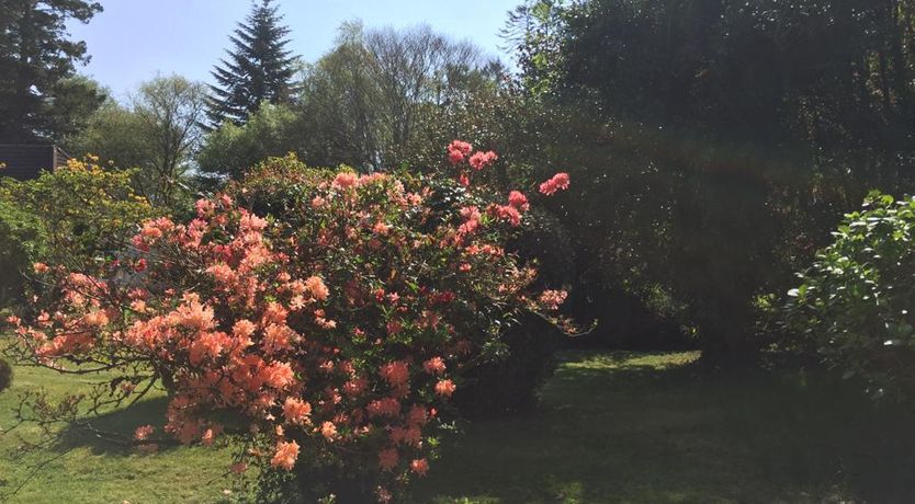 Photo of 5-star Oughterard Cottage