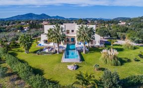 Photo of Palm Serenity