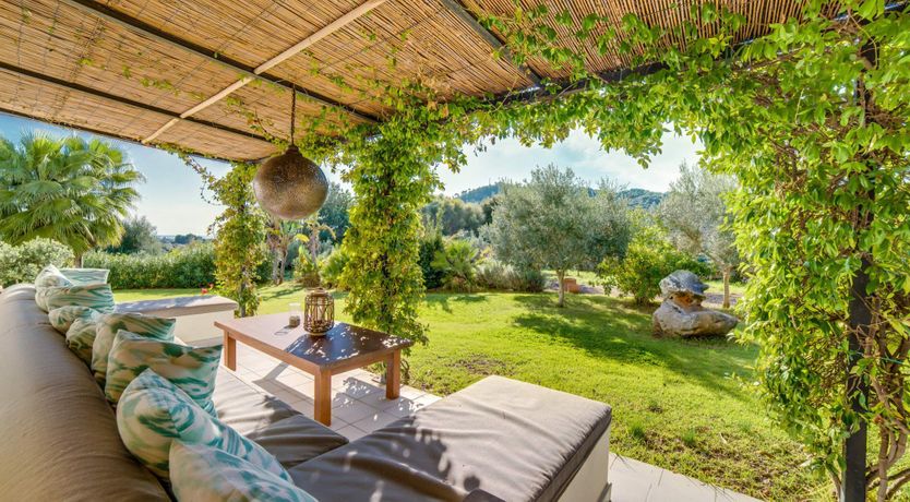 Photo of Palm Serenity