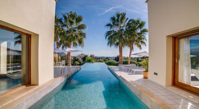 Photo of Palm Serenity