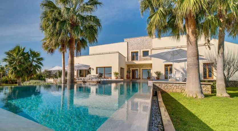 Photo of Palm Serenity
