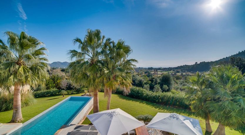 Photo of Palm Serenity
