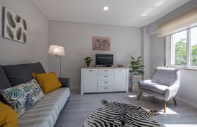 Photo of palms-zebras