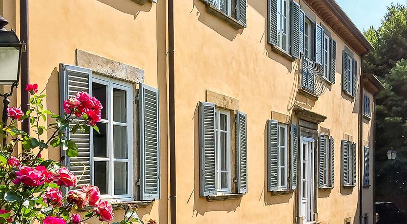 Photo of Among the Cypress