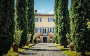 Photo of Among the Cypress