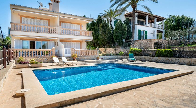 Photo of Mosaic & Moss