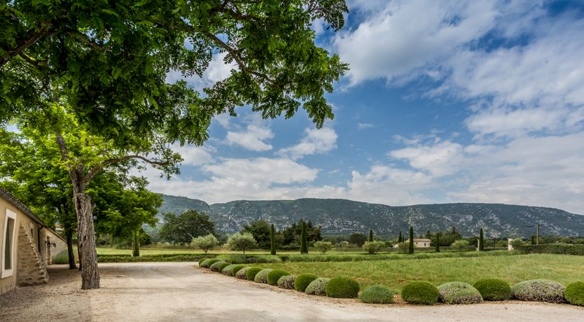 Photo of Champagne on the Hills