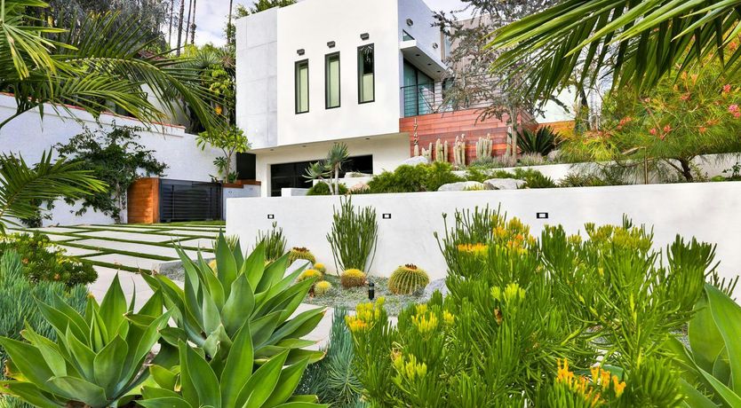 Photo of Hollywood Sanctuary