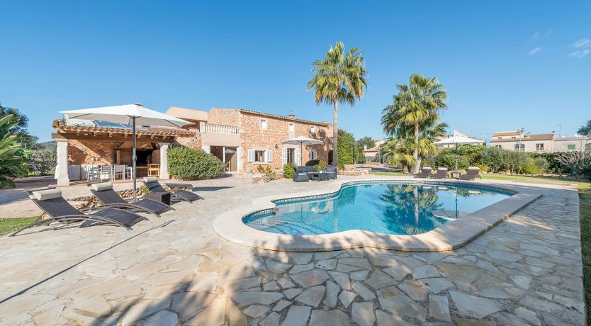 Photo of Peace & Palms