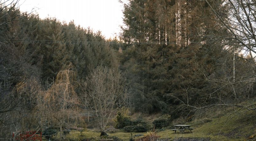 Photo of Fireside Whisky