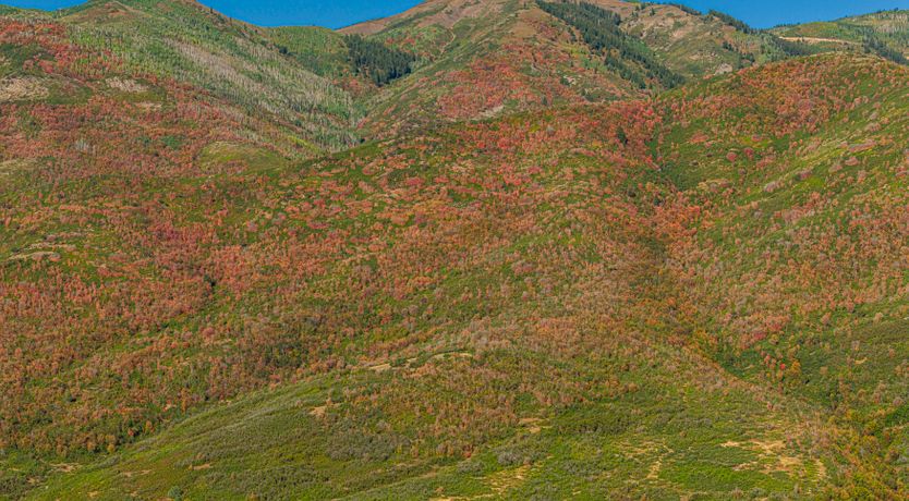 Photo of Rugged Alpine Place