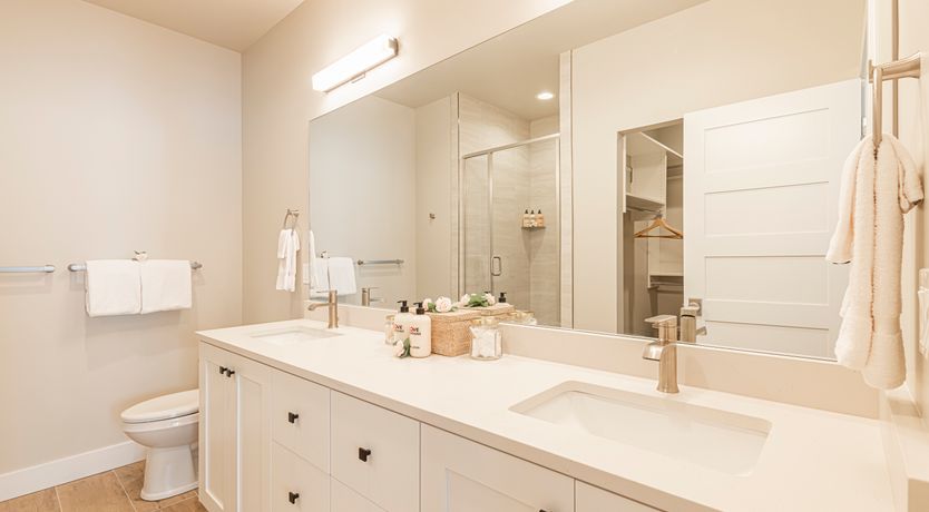 Photo of Lucky Light