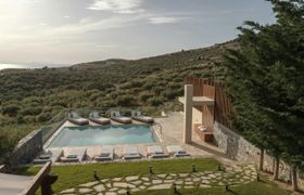 Photo of the-olive-quiet