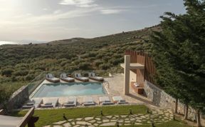 Photo of The Olive Quiet