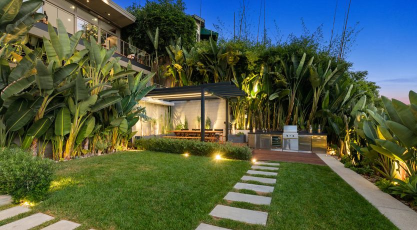 Photo of Blueberries