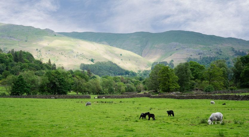 Photo of Scenic Vistas