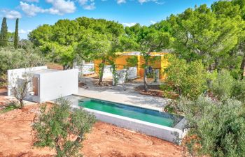 The Olive Essentials Holiday Home