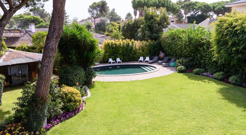 Photo of Scenic Garden Sanctuary