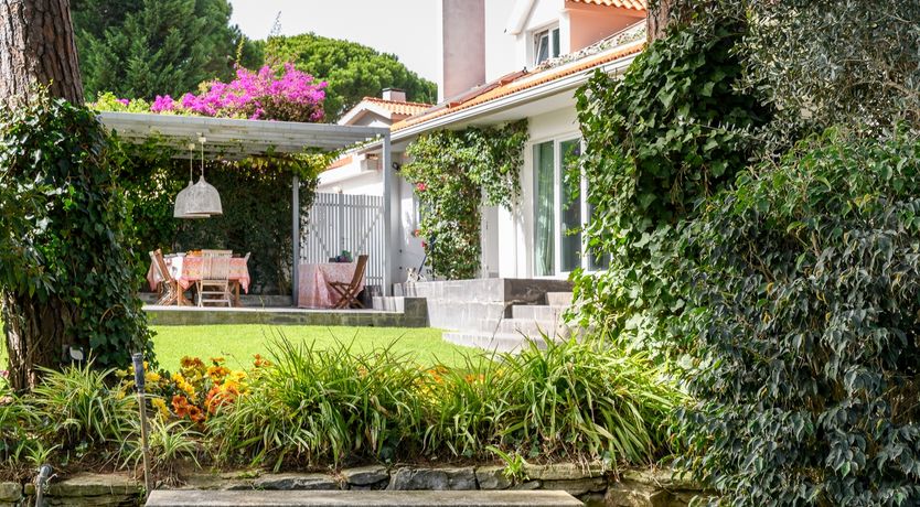 Photo of Scenic Garden Sanctuary