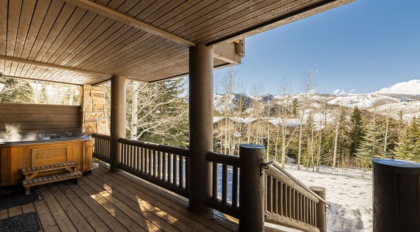 Photo of A Skier's Dream