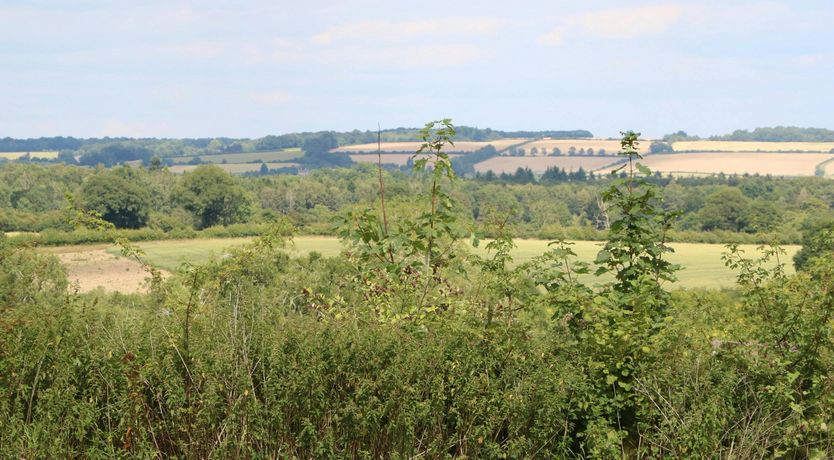 Photo of Gardener's Hideaway
