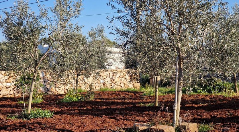 Photo of Racale Retreat