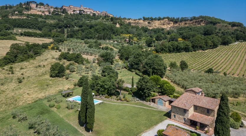 Photo of Vine Vista