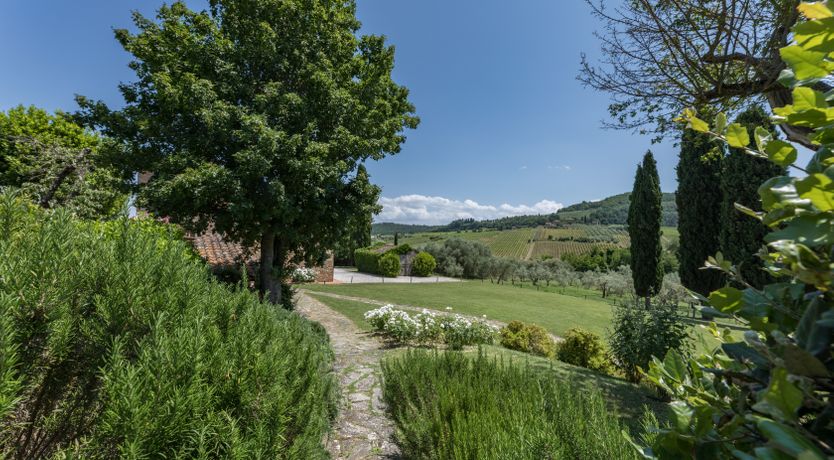 Photo of Vine Vista