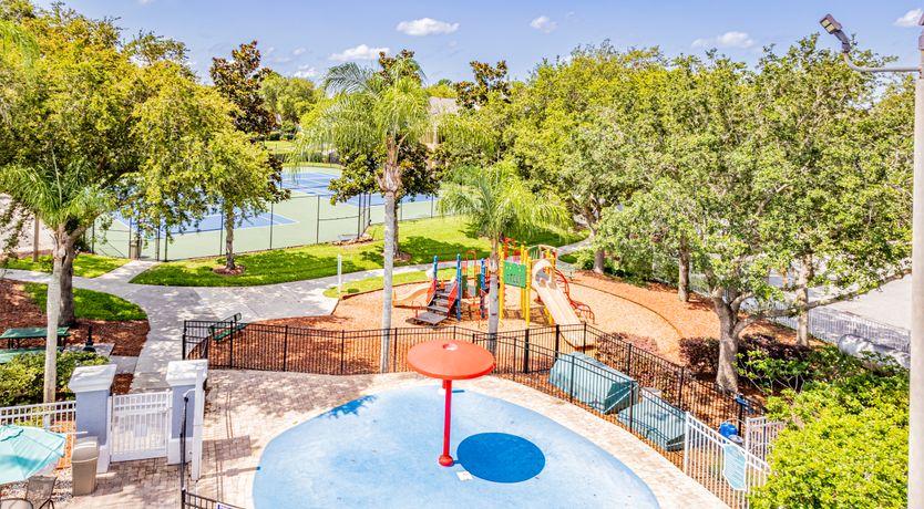 Photo of Florida Dreaming