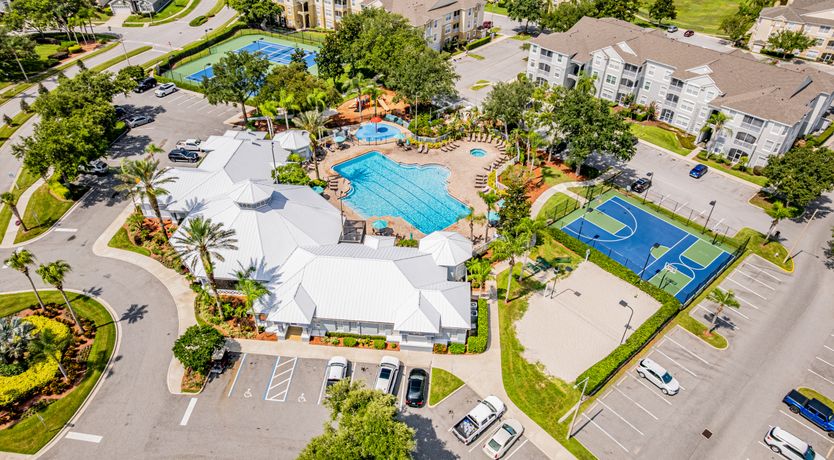 Photo of Florida Dreaming