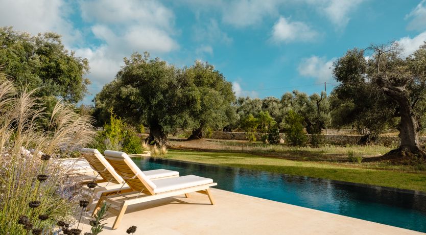 Photo of Antique Olive Grove