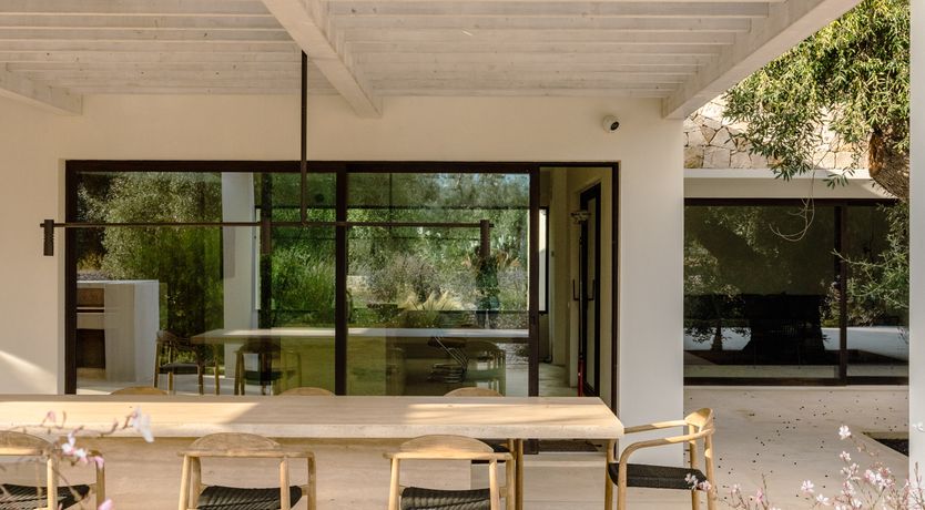 Photo of Antique Olive Grove