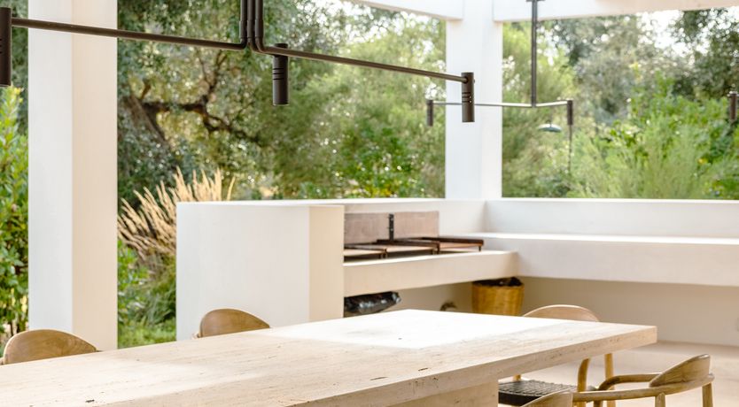 Photo of Antique Olive Grove