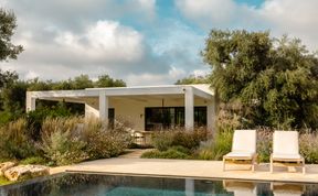 Photo of Antique Olive Grove