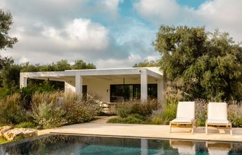 Antique Olive Grove Holiday Home