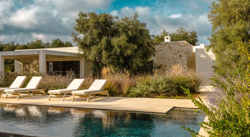 Photo of Antique Olive Grove