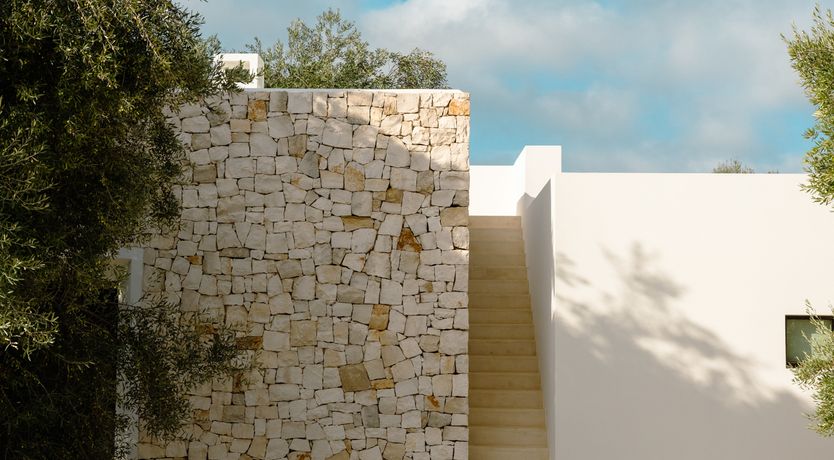 Photo of Antique Olive Grove