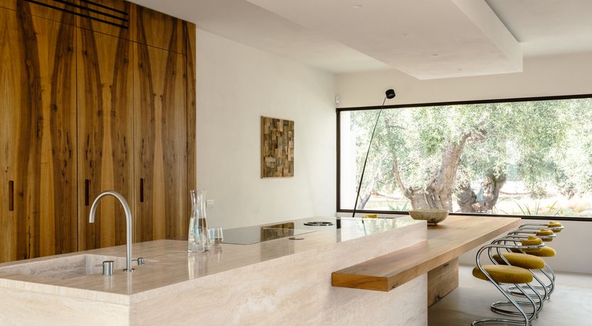 Photo of Antique Olive Grove