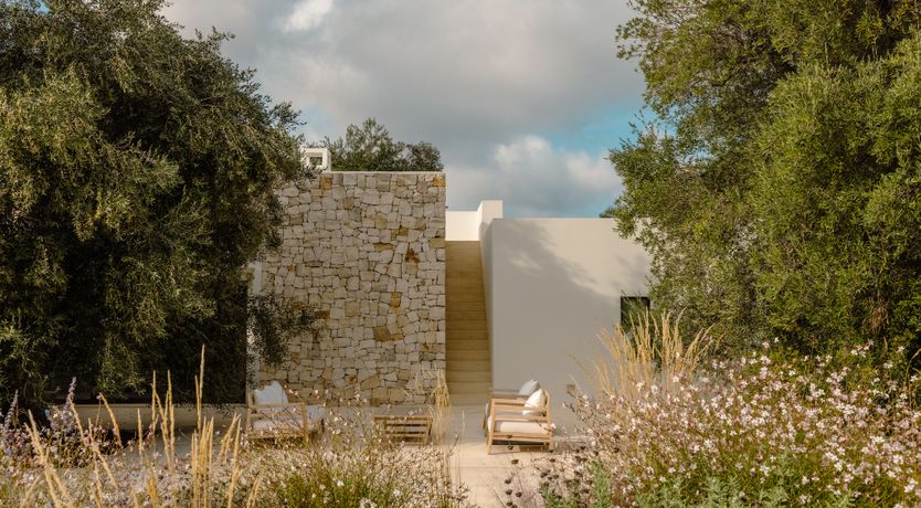 Photo of Antique Olive Grove