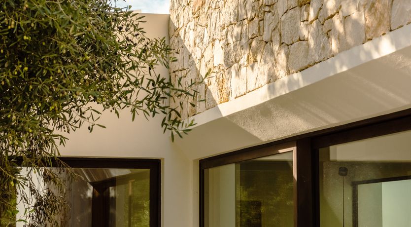 Photo of Antique Olive Grove