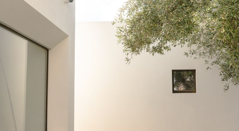 Photo of Antique Olive Grove