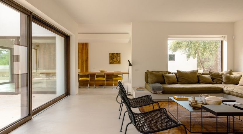 Photo of Antique Olive Grove