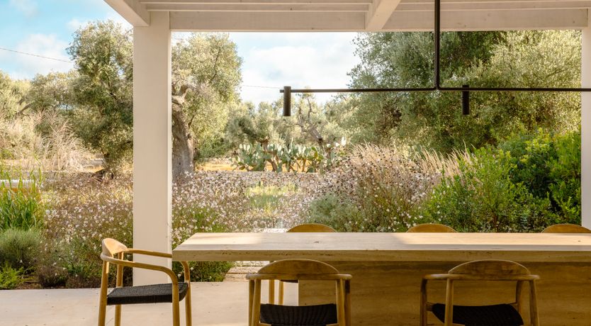 Photo of Antique Olive Grove