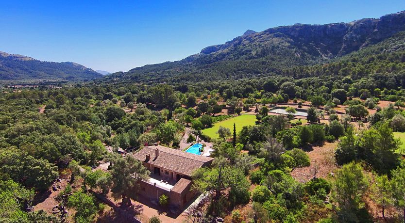 Photo of Meet Me in the Orange Grove
