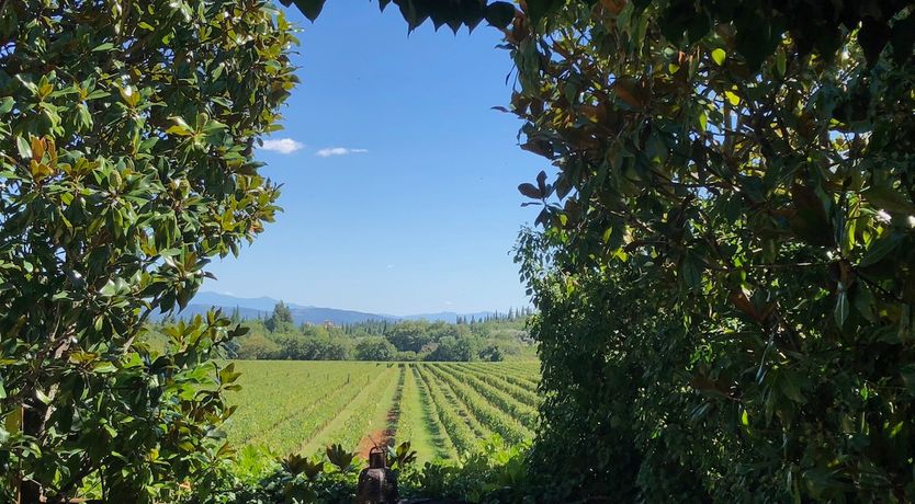 Photo of Beyond The Vineyards