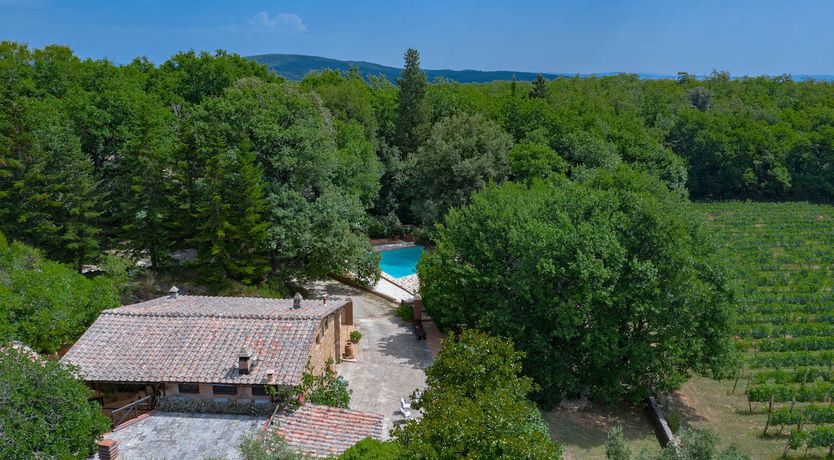 Photo of Beyond The Vineyards