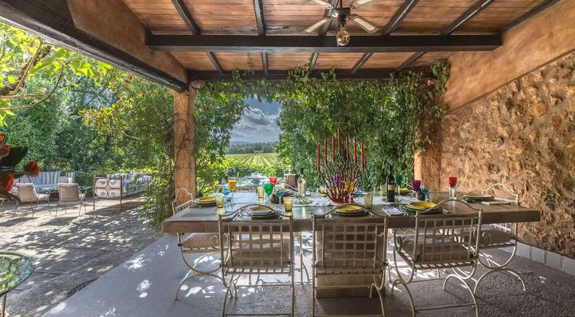 Photo of Beyond The Vineyards