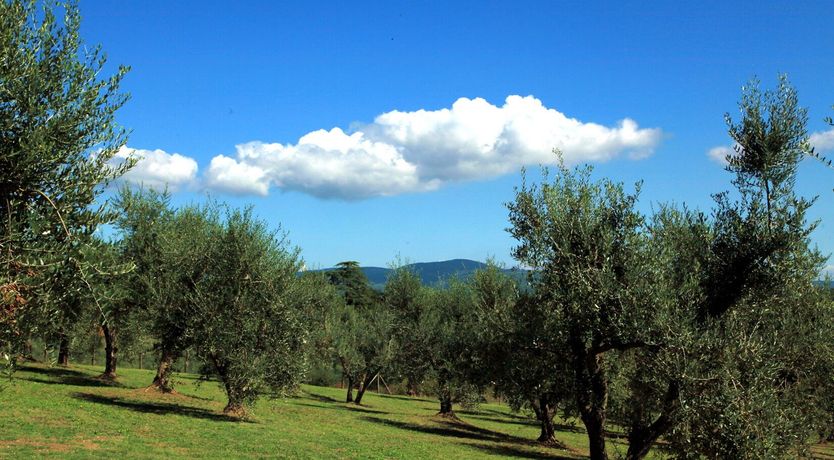 Photo of Casale Marzi