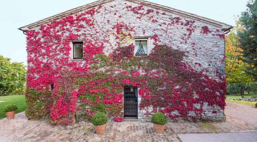 Photo of All That's Holy