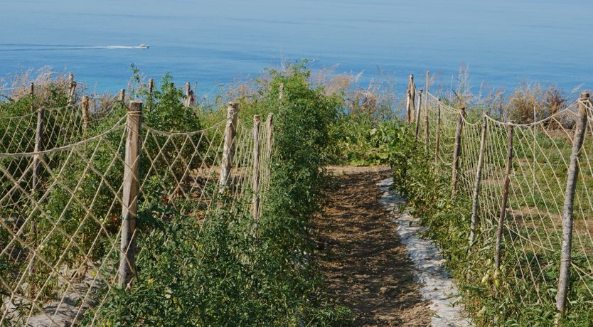 Photo of Cliffs Above Tropea